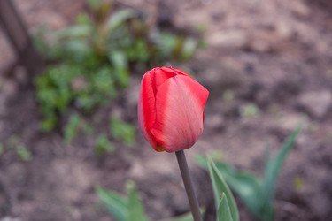 Similar image 21840936