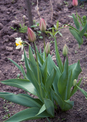 Similar image 21840937