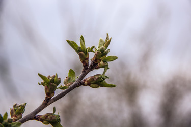 Similar image 21840938