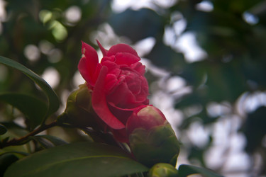 Similar image 21840939