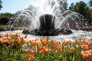 Similar image 21840507