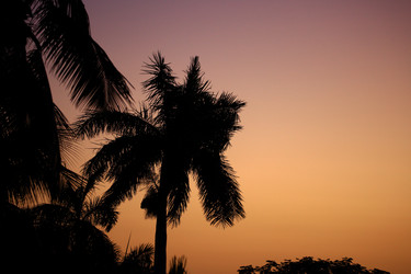 Similar image 21841777