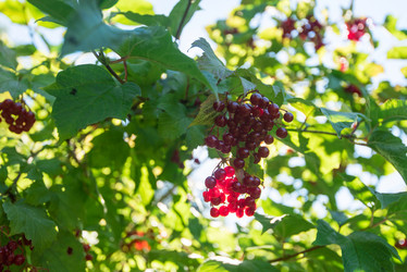 Similar image 21840950