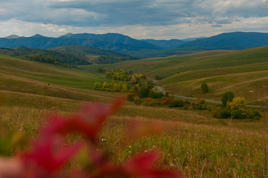 Similar image 21841246