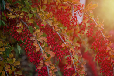 Similar image 21840281