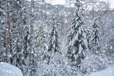 Similar image 21840299