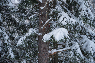 Similar image 21840300