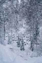 Similar image 21840301