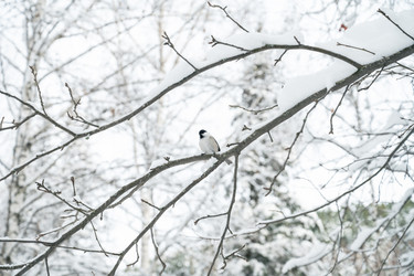 Similar image 21840302