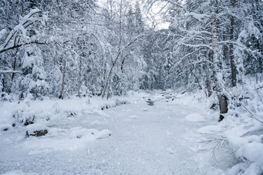 Similar image 21840304