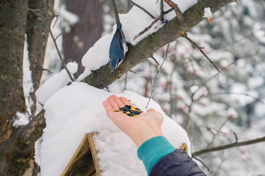 Similar image 21840307