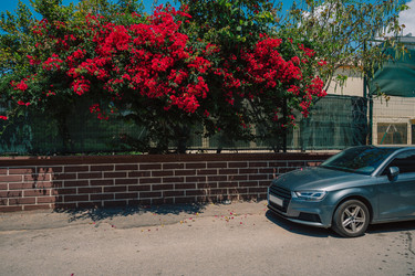 Similar image 21838130