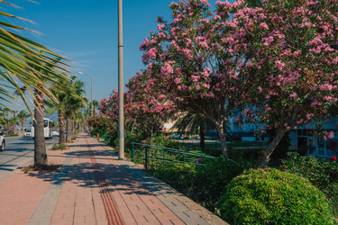 Similar image 21838133