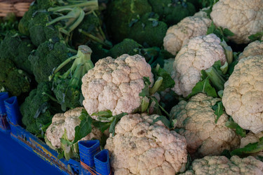 Similar image 21840321