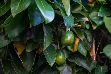 Similar image 21842376