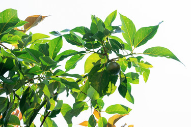 Similar image 21839115