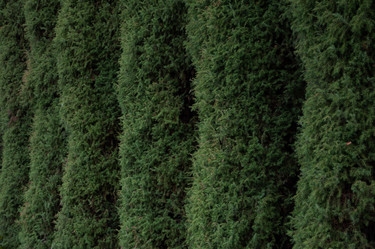 Similar image 21840335