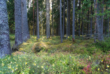 Similar image 21847977