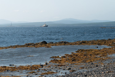 Similar image 21847978