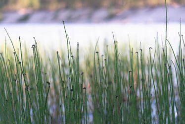 Similar image 21847984