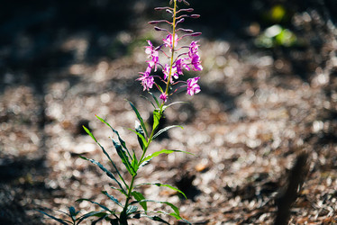 Similar image 21847987