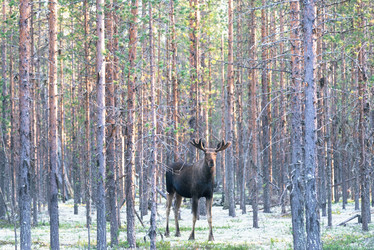 Similar image 21847990