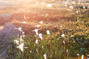 Similar image 21847996