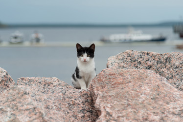 Similar image 21847997