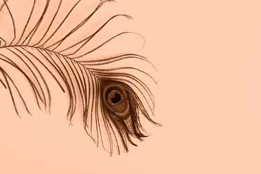 Similar image 21840969