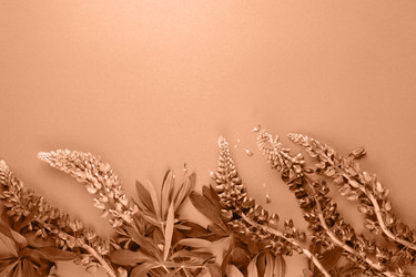 Similar image 21840972