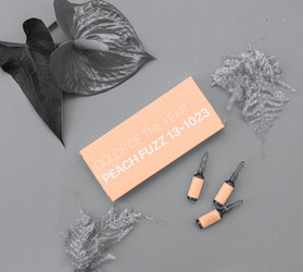 Similar image 21840977