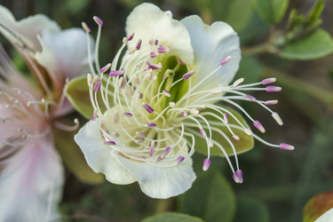 Similar image 21832489