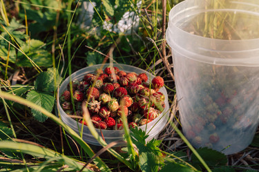 Similar image 21840088