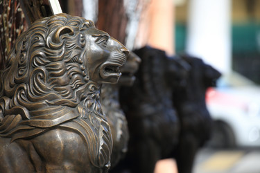 Similar image 21841778