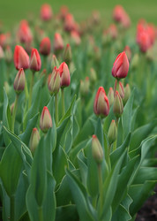 Similar image 21840508