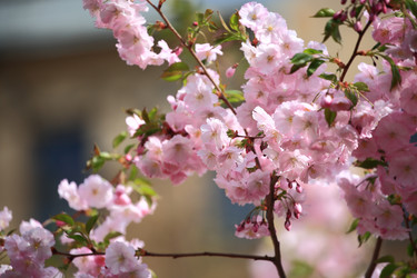 Similar image 21840509