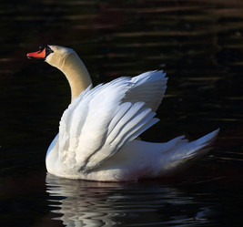 Similar image 21840511