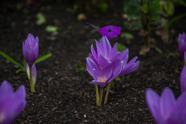 Similar image 21840361