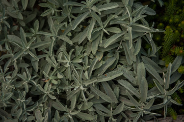 Similar image 21840363