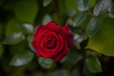 Similar image 21840365