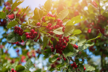 Similar image 21840367