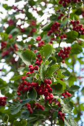 Similar image 21840368