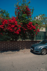 Similar image 21839156