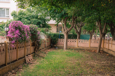 Similar image 21838164