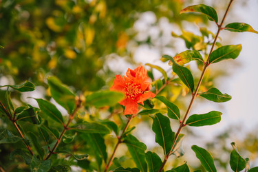 Similar image 21841025