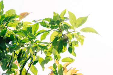 Similar image 21839180