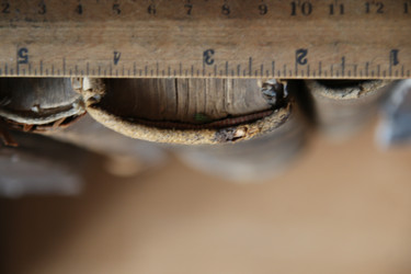 Similar image 21838390