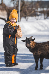 Similar image 21838408