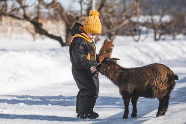 Similar image 21838409