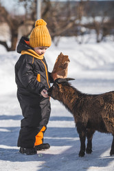 Similar image 21838410